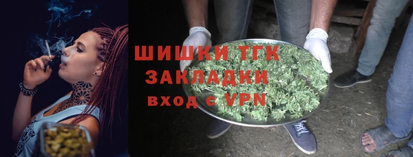 сатива Кукмор