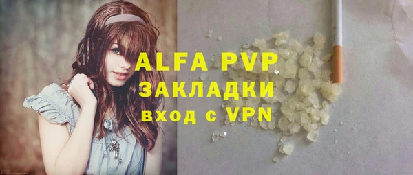 сатива Кукмор