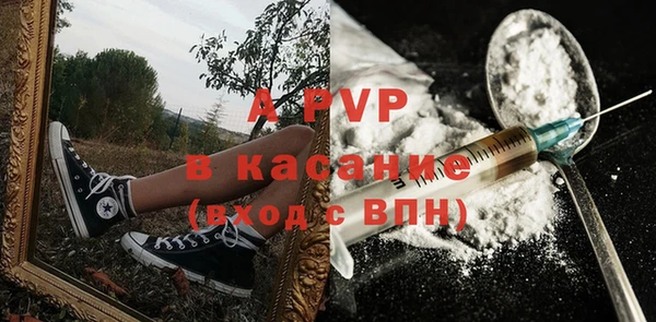 сатива Кукмор