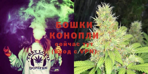 сатива Кукмор