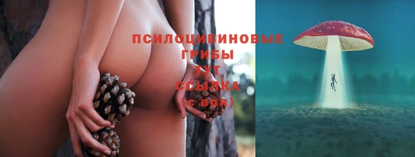 apvp Кулебаки