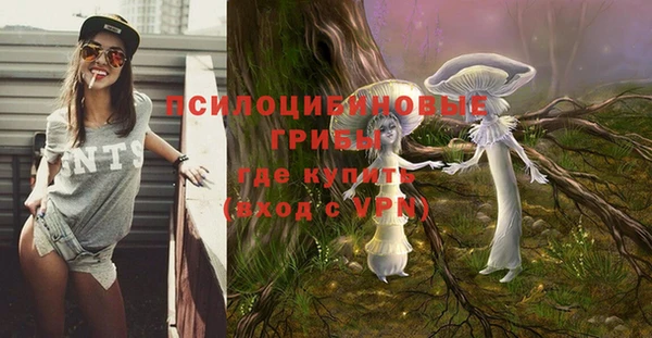 сатива Кукмор