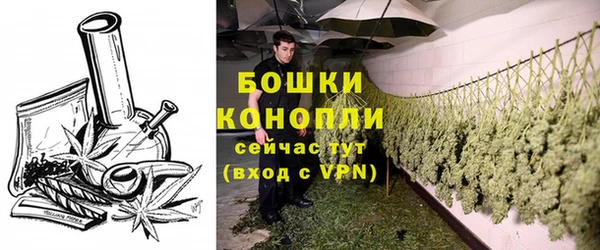 сатива Кукмор
