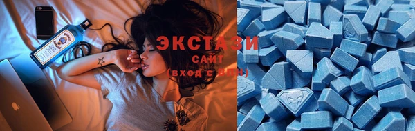 сатива Кукмор