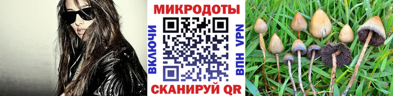 цена наркотик  Ядрин  Псилоцибиновые грибы мухоморы 